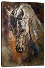 Картина Красив кон, 50x70 см
