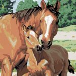 Картина за рисуване по номера „Кобила с жребче“ 40×50 см с подрамка – Код D20473
