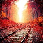 Картина за рисуване по номера „Релси“ 40×50 см с подрамка – Код D20544